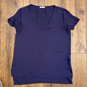 Blue semi Sheer Blouse